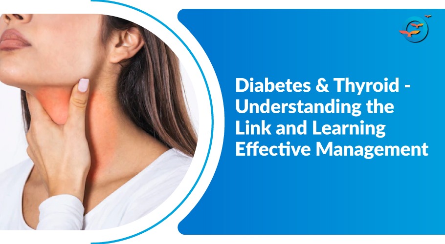 Diabetes and Thyroid: Understanding the Hidden Link