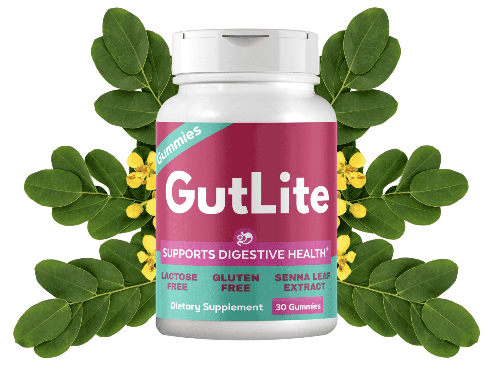 GutLite  Natural Digestive Support for a Stronger Balanced and Healthier Gut
