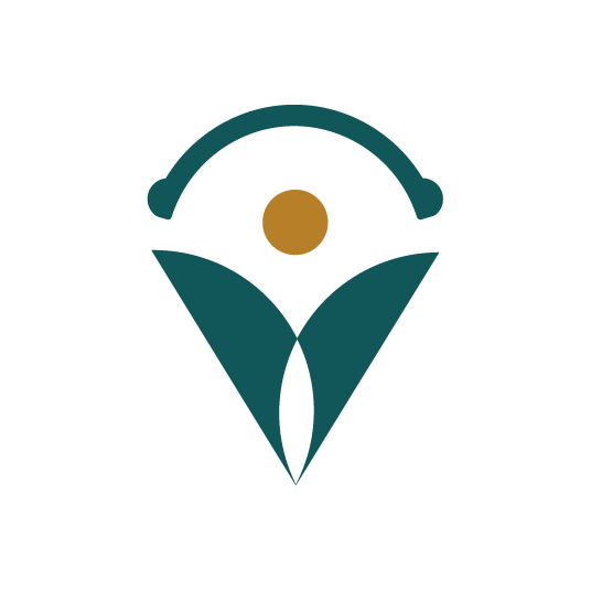 Boosting Telemedicine Efficiency With Virtual Medical Scribes